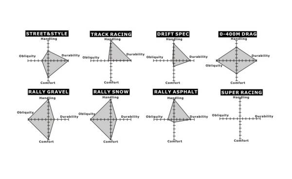 Kompletní výškově a tuhostně stavitelný podvozek D2 Racing série Street pro Audi RS4 B7 Avant (06-08)