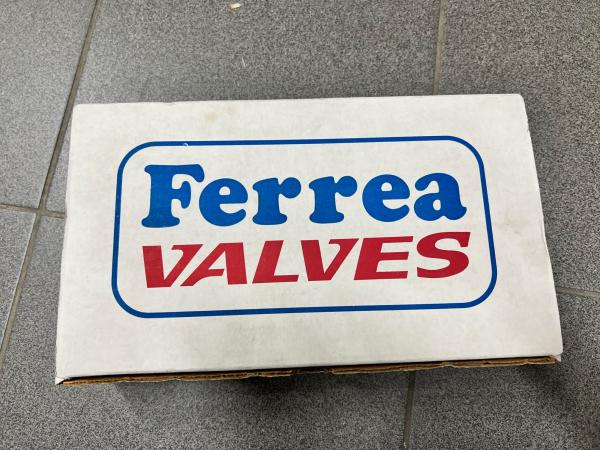 Sací ventily Ferrea Competition Plus Subaru Impreza / Forester / Legacy /  Outback EJ20/EJ25 - overize +1mm