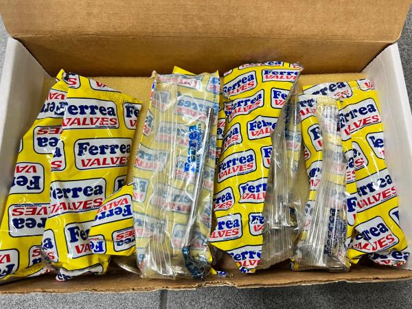 Sací ventily Ferrea Competition Plus Subaru Impreza / Forester / Legacy /  Outback EJ20/EJ25 - overize +1mm