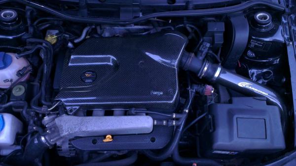 Karbonový kryt motoru Forge Motorsport koncernové 1.8T (98-04)