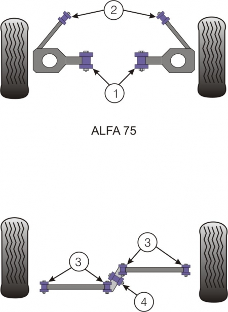 Silentbloky Powerflex Alfa Romeo Alfetta / Giulietta / GTV6 / 75 (Milano) Rear Watts Linkage Bush (3)