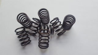 Ventilové pružiny Dbilas Dynamic 62.550.001 - VW 1.9/2.0 TDI 8V PD